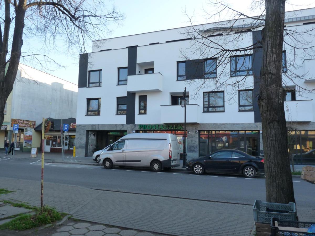 Apartament W Centrum Ciechocinka 切霍齐内克 外观 照片