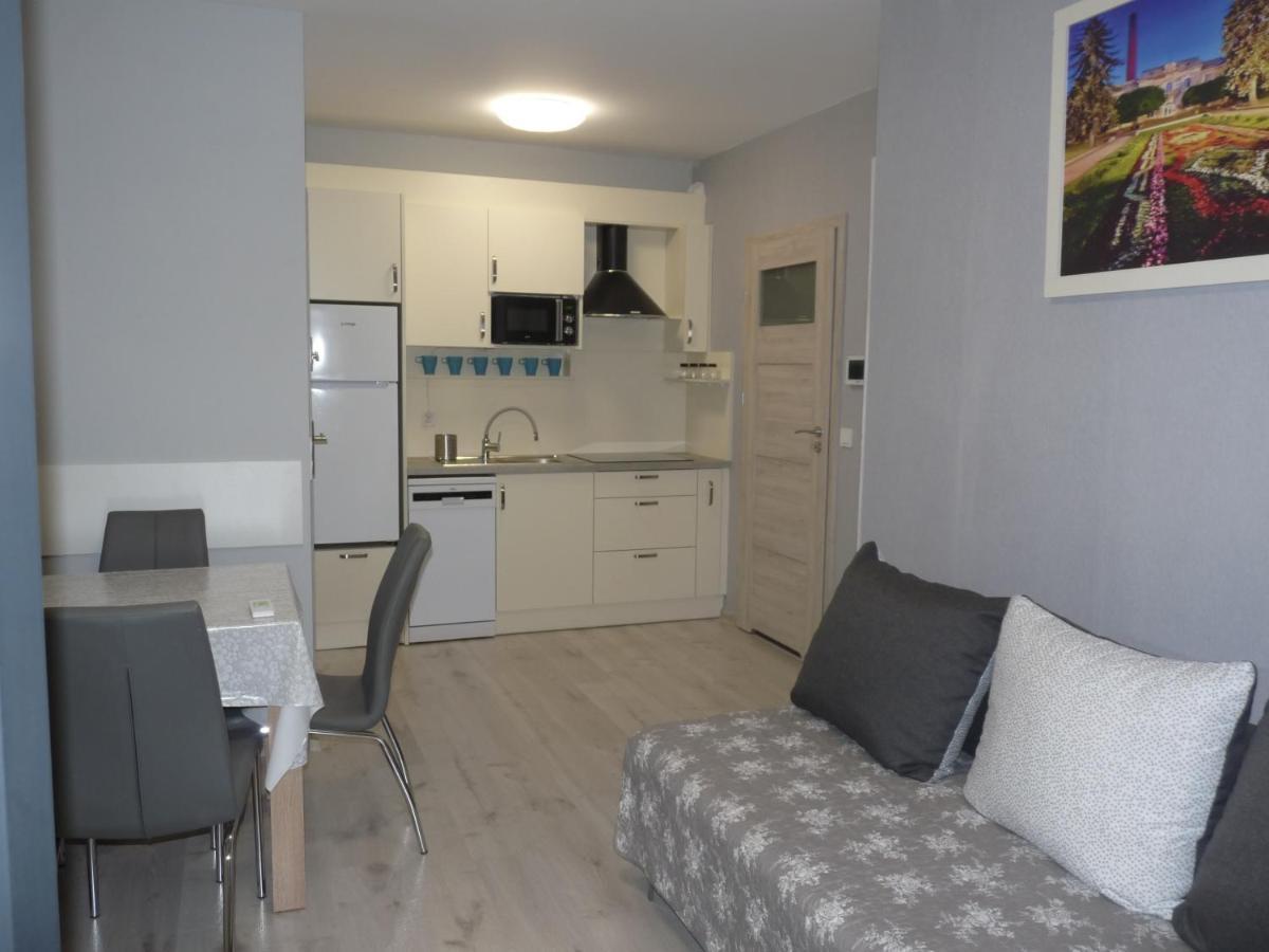 Apartament W Centrum Ciechocinka 切霍齐内克 外观 照片